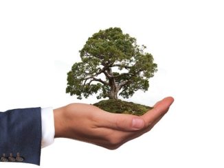 Hand, die die Umwelt schützen möchte: Die nachhaltige Die Triodos Bank möchte Mehrwerte für Mensch, Umwelt und Kultur schaffen!