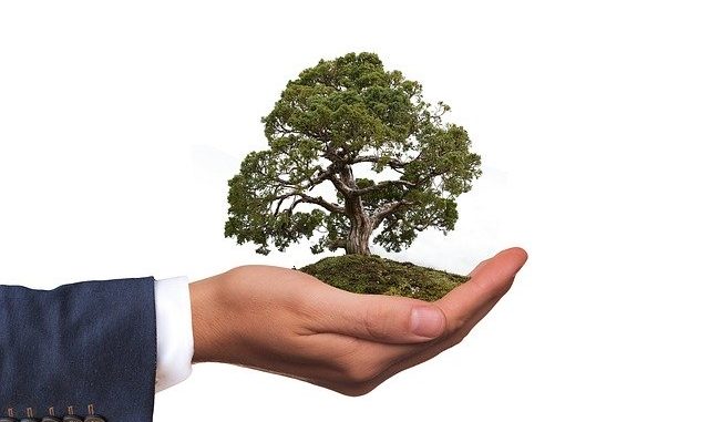 Triodos Bank Hand, die die Umwelt schützen möchte: Die nachhaltige Die Triodos Bank möchte Mehrwerte für Mensch, Umwelt und Kultur schaffen!