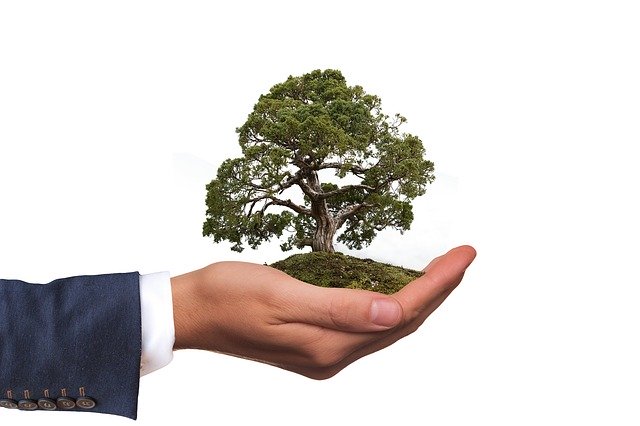 Hand, die die Umwelt schützen möchte: Die nachhaltige Die Triodos Bank möchte Mehrwerte für Mensch, Umwelt und Kultur schaffen!